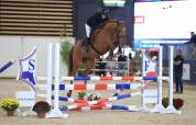  ? &Agrave; LA RECHERCHE DE VOTRE FUTUR CHEVAL DE SPORT ?