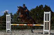 CHEVAL PS 9 ANS 1M66