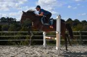 CHEVAL PS 9 ANS 1M66