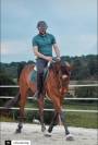 CHEVAL PS 8 ANS 1M65