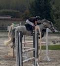  Cheval CSO / CCE / Dressage