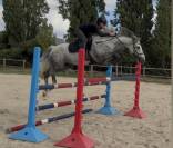  Cheval CSO / CCE / Dressage