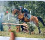 Cheval SF 9ans Cso