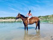 Cheval SF 9ans Cso