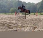 Jument Z CSO 7 ans 