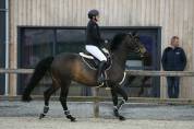 Jument de sport, SF, CSO