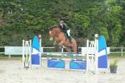 Cheval de loisir 