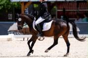 Poni b competici&oacute;n 