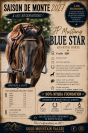 Saillie Quarter Horse Grullo 90% NFQHA