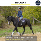BRIGADIN - PS - 4 ANS