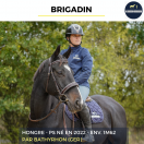 BRIGADIN - PS - 4 ANS