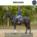 BRIGADIN - PS - 4 ANS