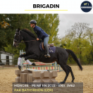 BRIGADIN - PS - 4 ANS
