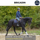 BRIGADIN - PS - 4 ANS