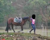 Ponette de loisir 