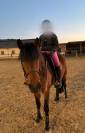 Ponette de loisir 