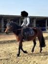 Ponette de loisir 