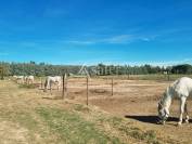 Centre &eacute;questre parfaitement fonctionnel sur quasiment 6 ha de