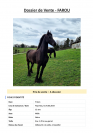 2 magnifiques frisons &agrave; vendre, si possible ensemble