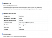 2 magnifiques frisons &agrave; vendre, si possible ensemble