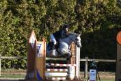 Hongre PFS 4 ans 