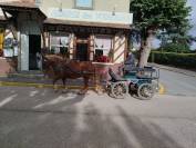 Noblesse, Bretonne PP