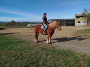 Noblesse, Bretonne PP