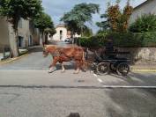 Noblesse, Bretonne PP