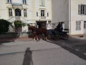 Noblesse, Bretonne PP