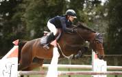 Top Jument 8 ans &agrave; vendre 