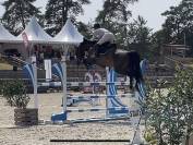 Top Jument 8 ans &agrave; vendre 