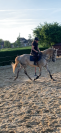 &Agrave; vendre Hongre AA 10 ans
