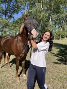 Appaloosa, per categorie pony.