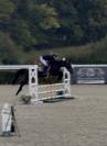 Jument de selle de cso