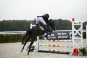 Jument de selle de cso