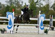 Jument de selle de cso