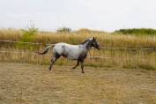 Ponette B 9 ans 