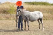 Ponette B 9 ans 