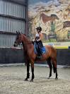 Magnifique cheval de 3 ans Polyvalent et brave