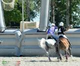 Vendo Pony Arabo 