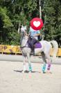 Vendo Pony Arabo 
