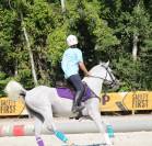 Vendo Pony Arabo 