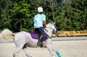 Vendo Pony Arabo 