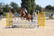 Ruin Franse rijpony PFS Te leen 2022 Vos ,  OPPLALA ST HYMER