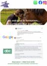 -10% sur votre Formation en communication animale