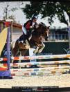 Poney B 7ans