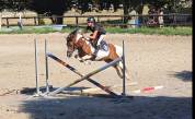 Poney B 7ans