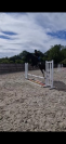 Cheval amateur 