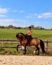 COACHING PRIV&Eacute; &ndash; DRESSAGE, &Eacute;QUITATION DE L&Eacute;G&Egrave;RET&Eacute; 