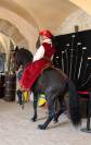 COACHING PRIV&Eacute; &ndash; DRESSAGE, &Eacute;QUITATION DE L&Eacute;G&Egrave;RET&Eacute; 